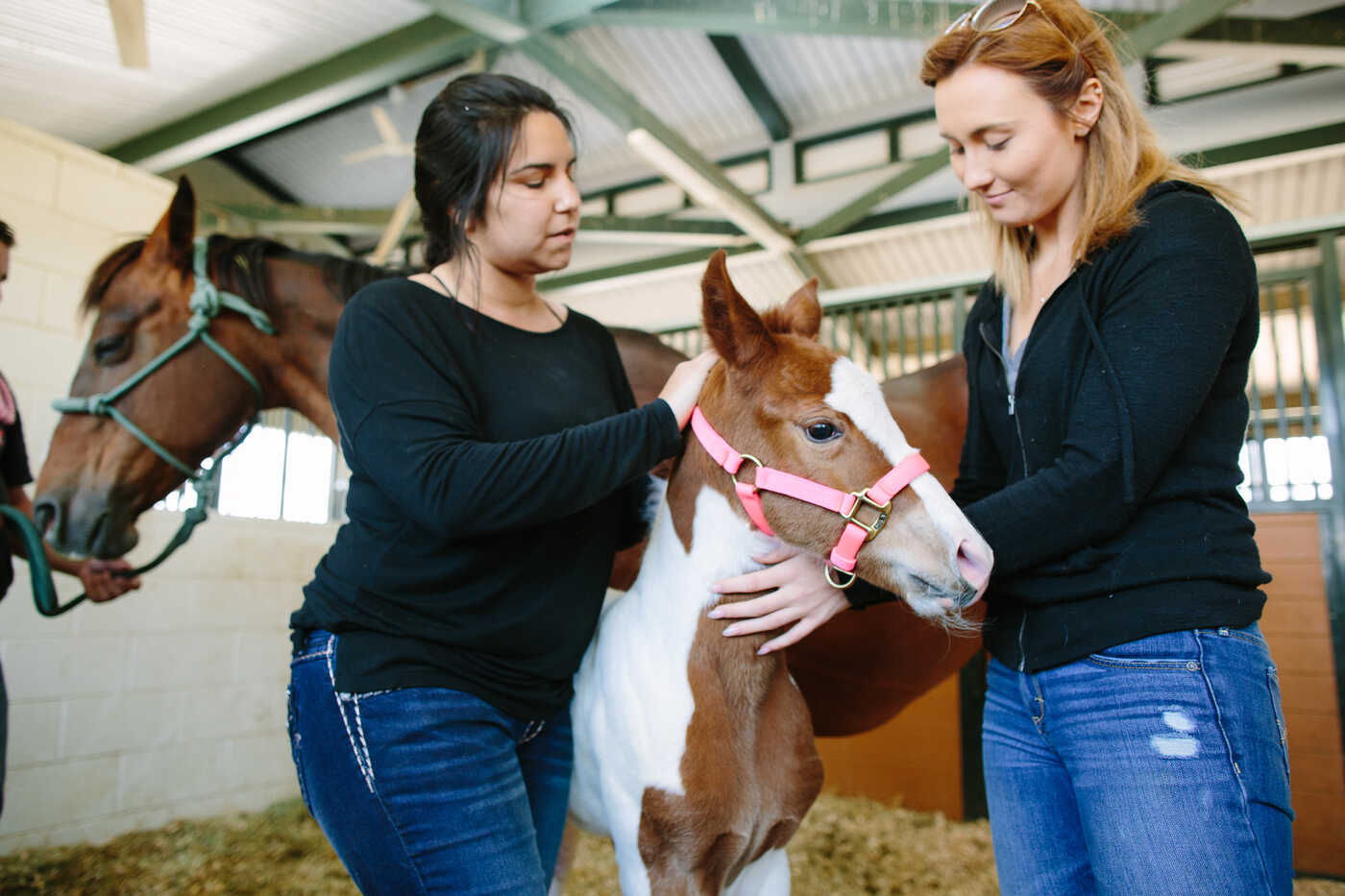 Student with horse