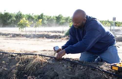 irrigation student