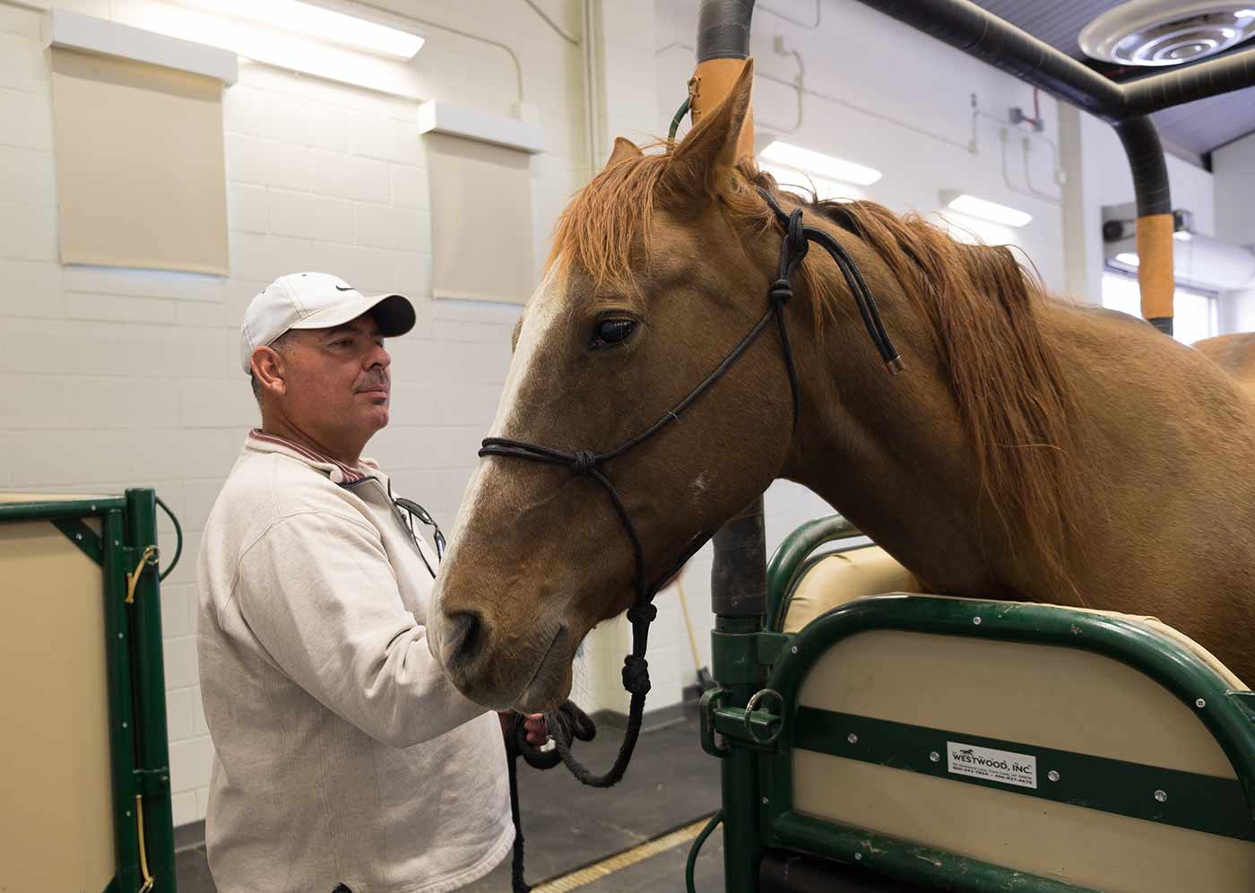 student with horse