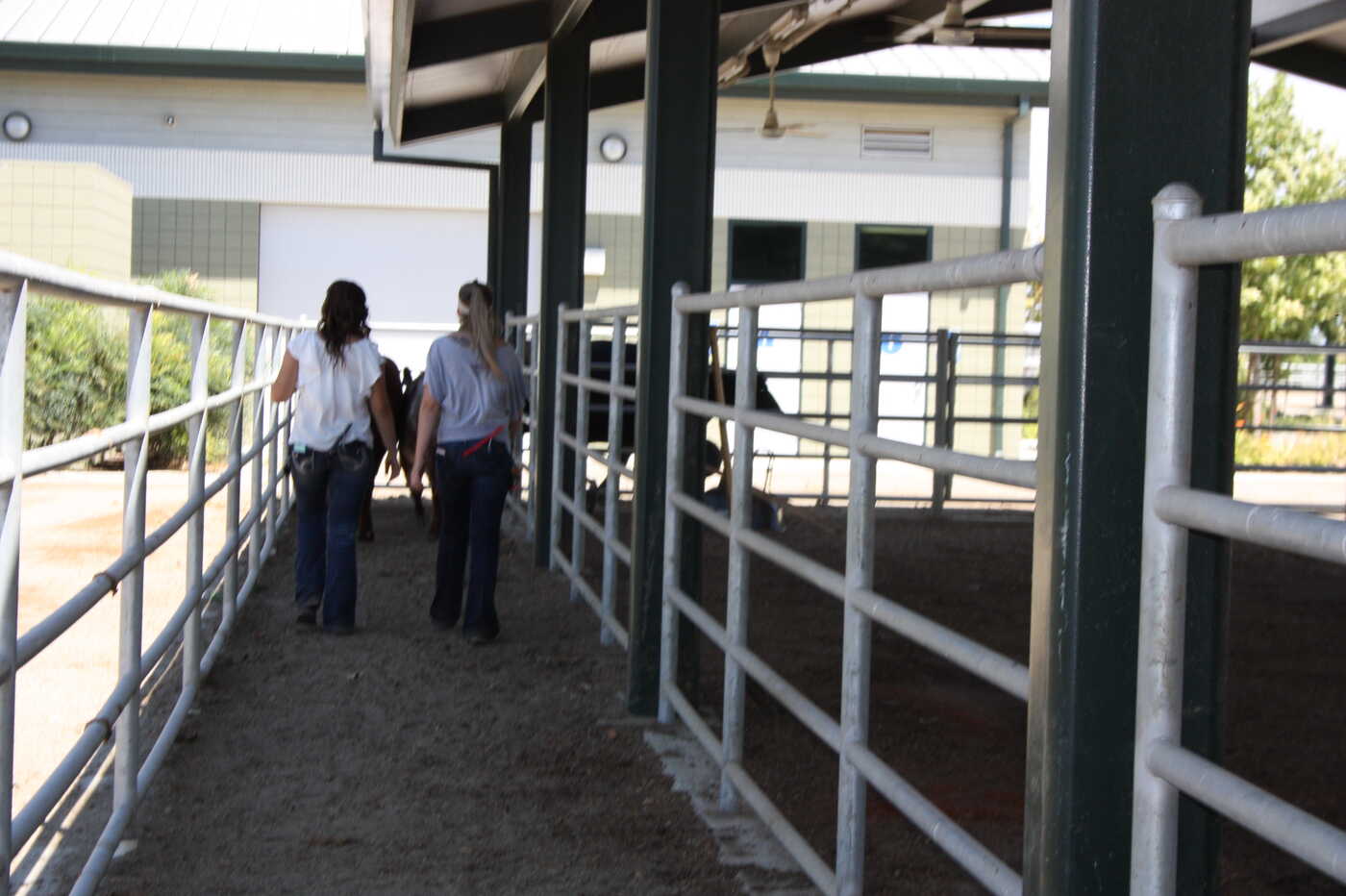 students walking