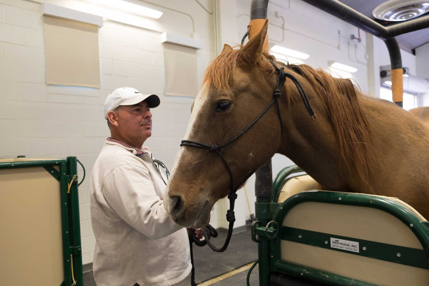 Student with horse